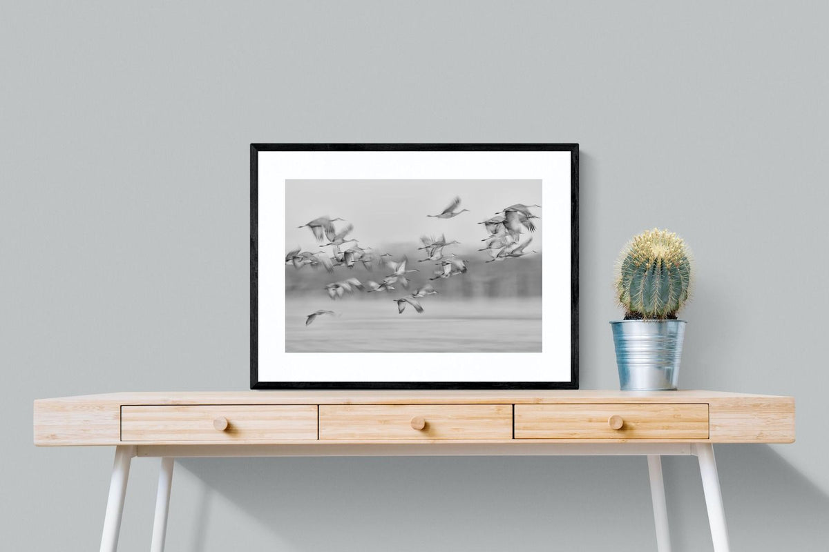 Pixalot ® Crane Migration