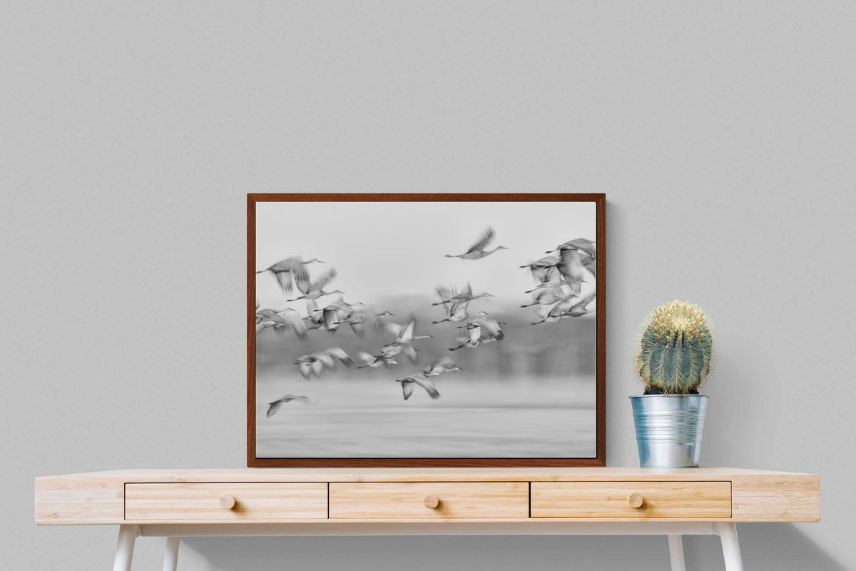 Pixalot ® Crane Migration