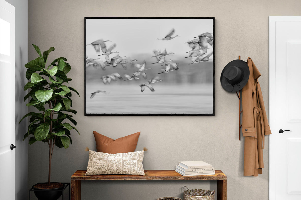 Pixalot ® Crane Migration
