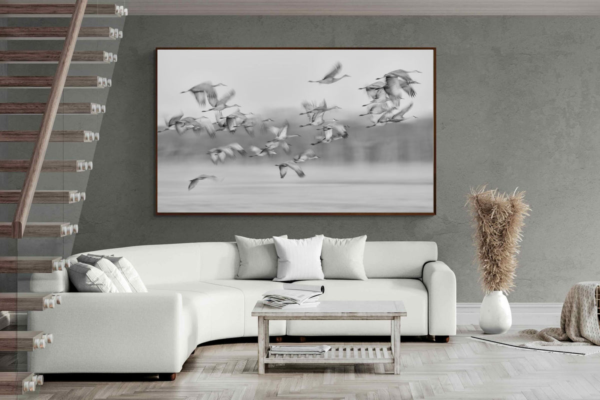 Pixalot ® Crane Migration