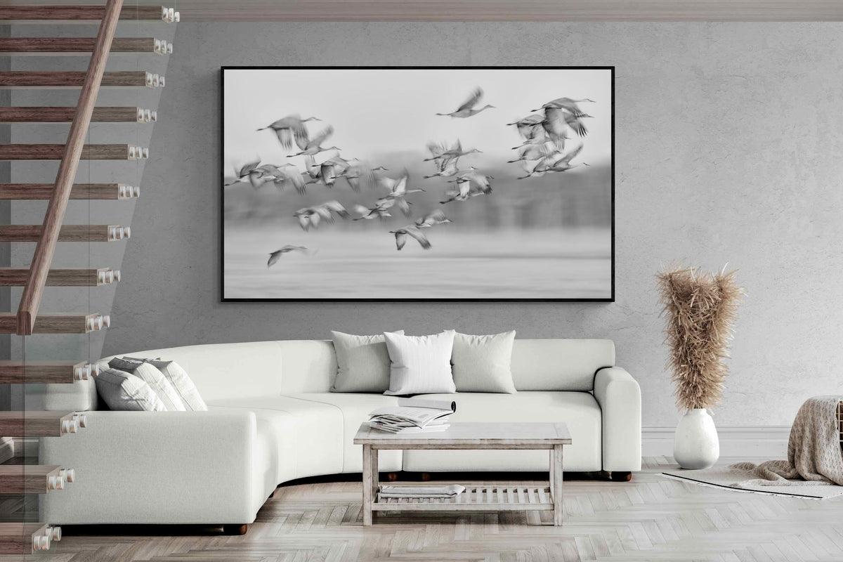 Pixalot ® Crane Migration