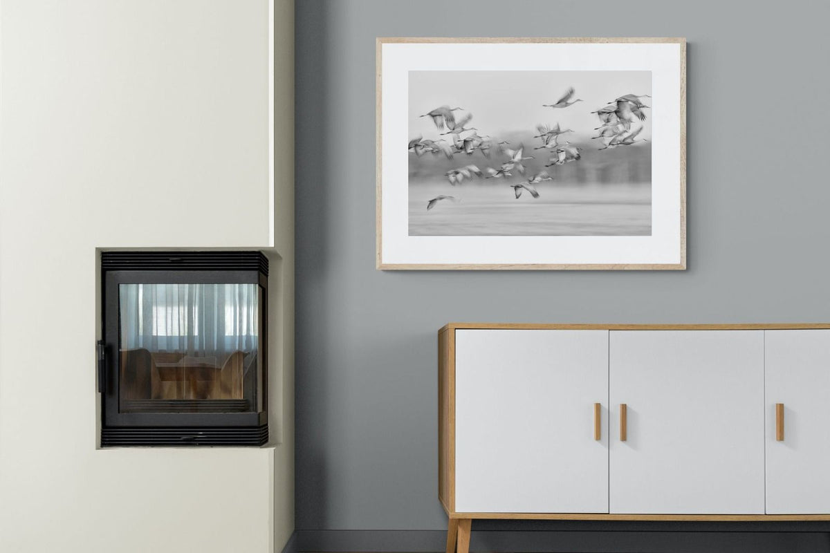 Pixalot ® Crane Migration