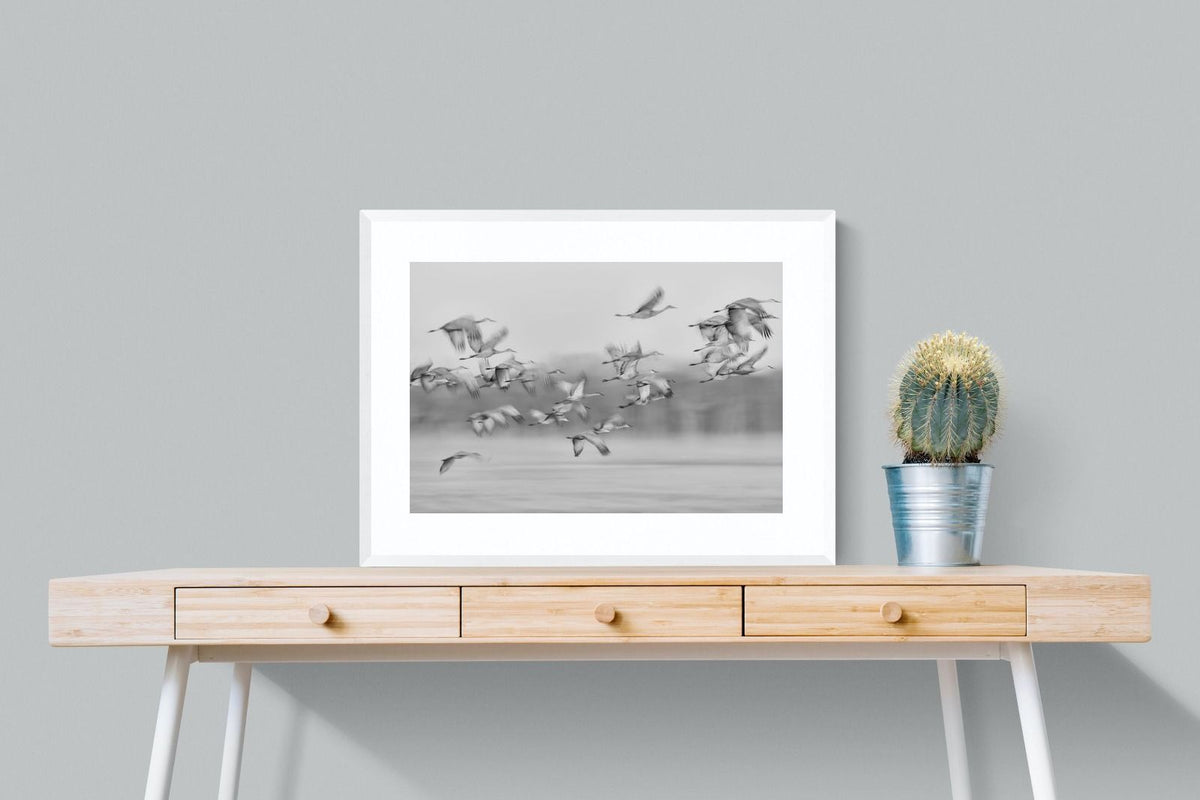 Pixalot ® Crane Migration