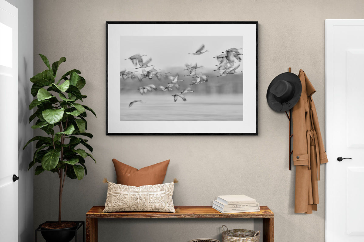 Pixalot ® Crane Migration