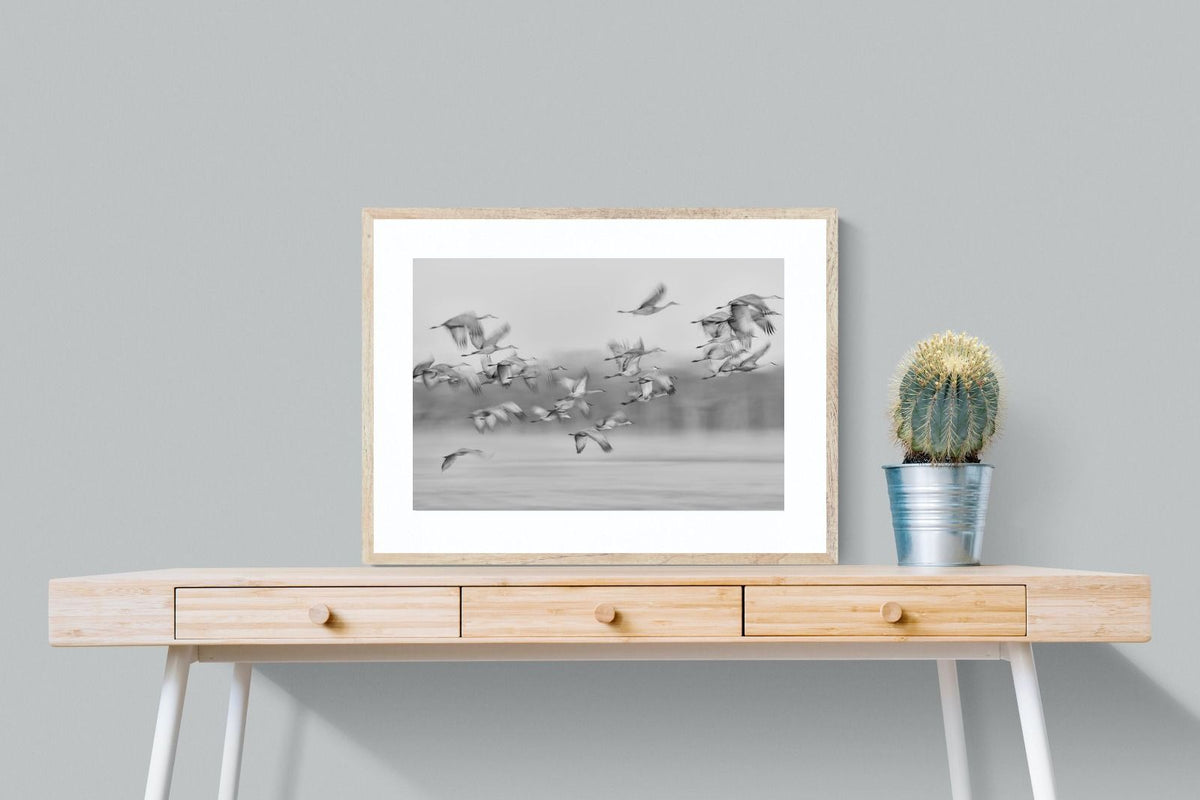 Pixalot ® Crane Migration