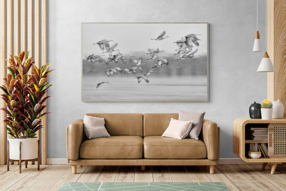 Pixalot ® Crane Migration