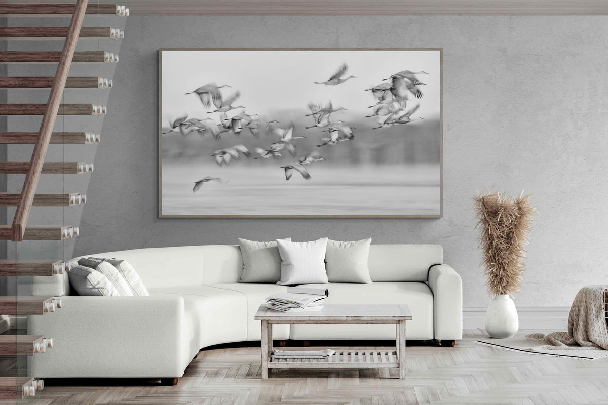 Pixalot ® Crane Migration