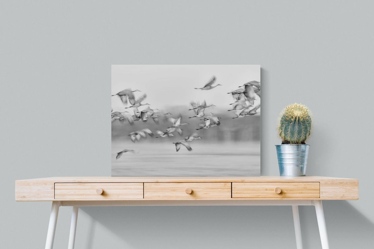 Pixalot ® Crane Migration