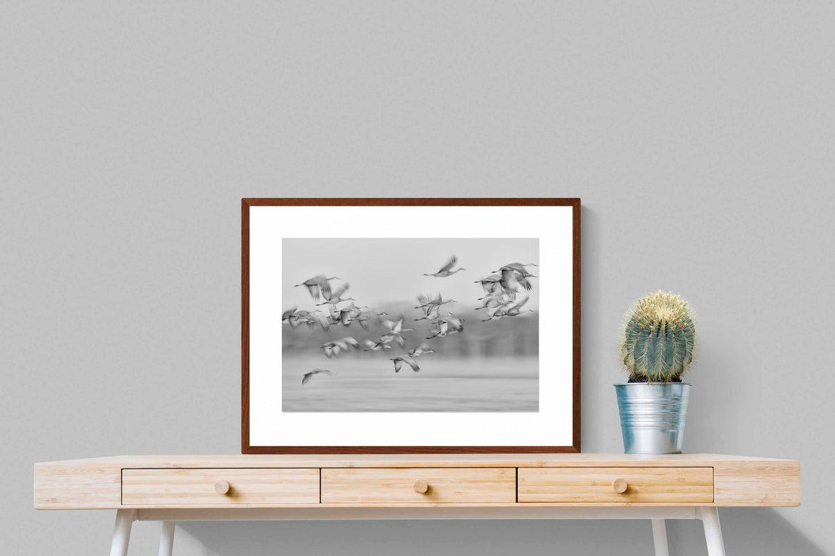 Pixalot ® Crane Migration