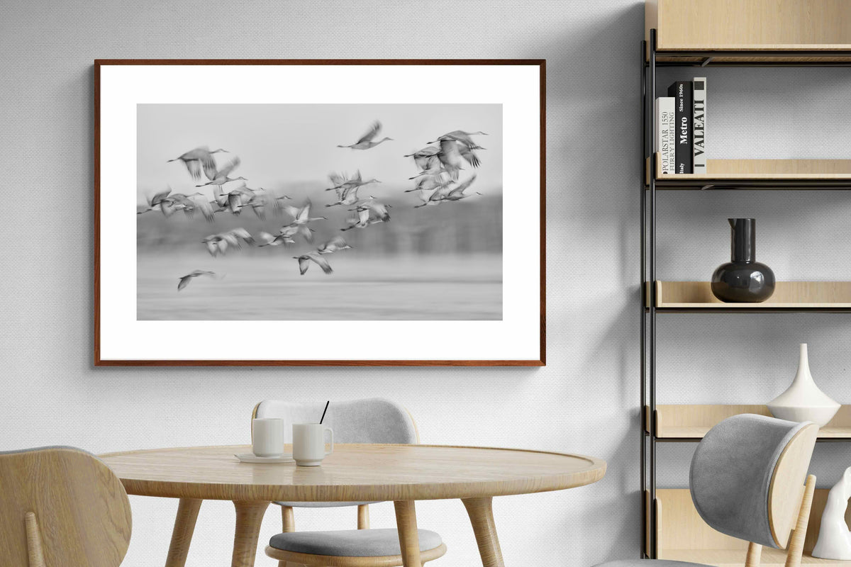 Pixalot ® Crane Migration