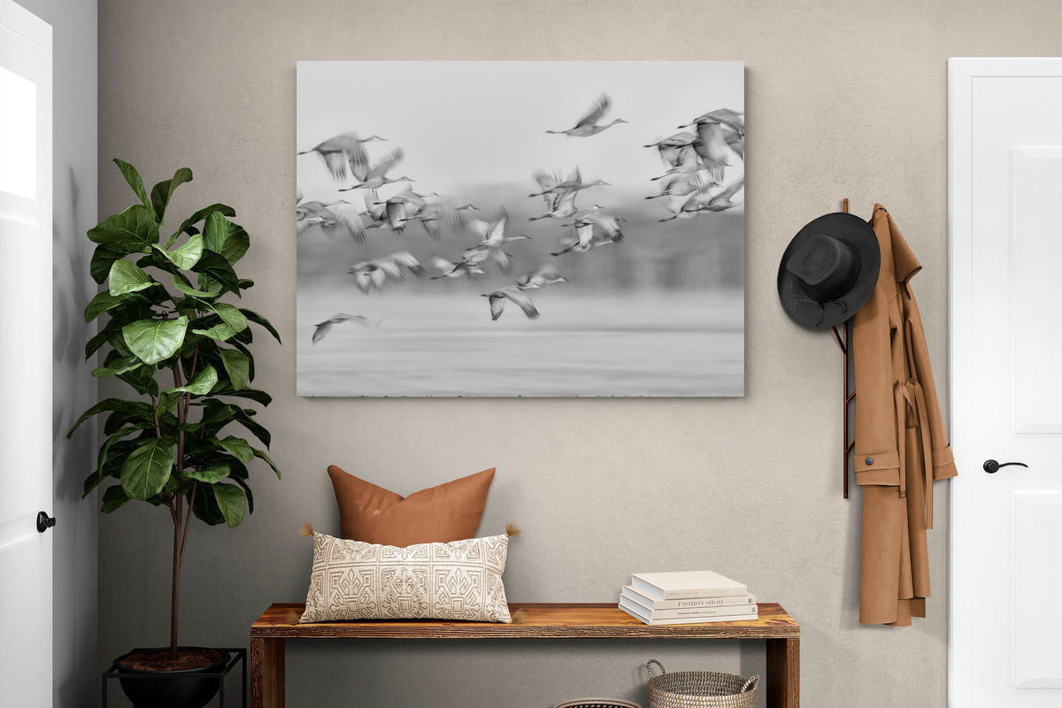Pixalot ® Crane Migration