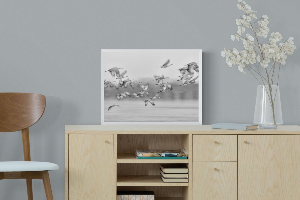 Pixalot ® Crane Migration