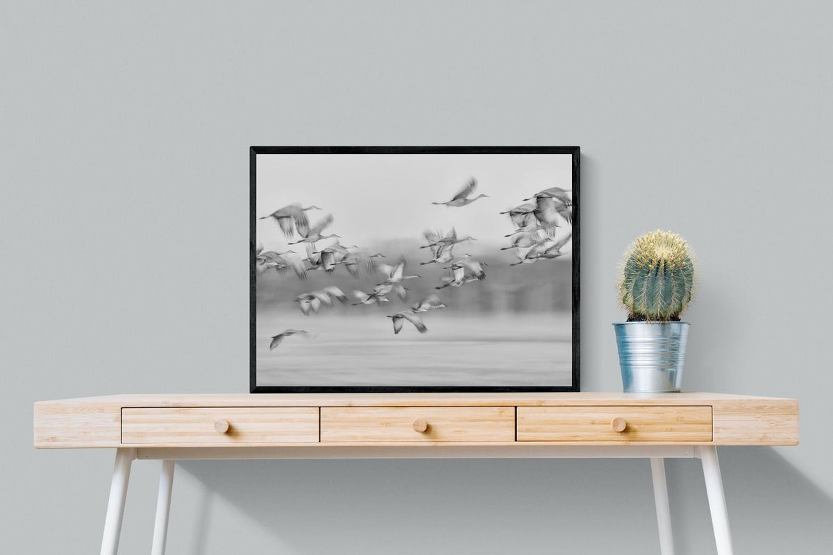 Pixalot ® Crane Migration