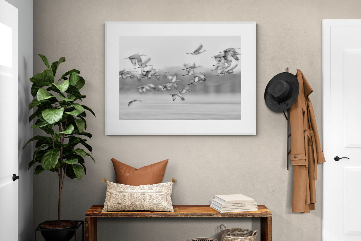 Pixalot ® Crane Migration