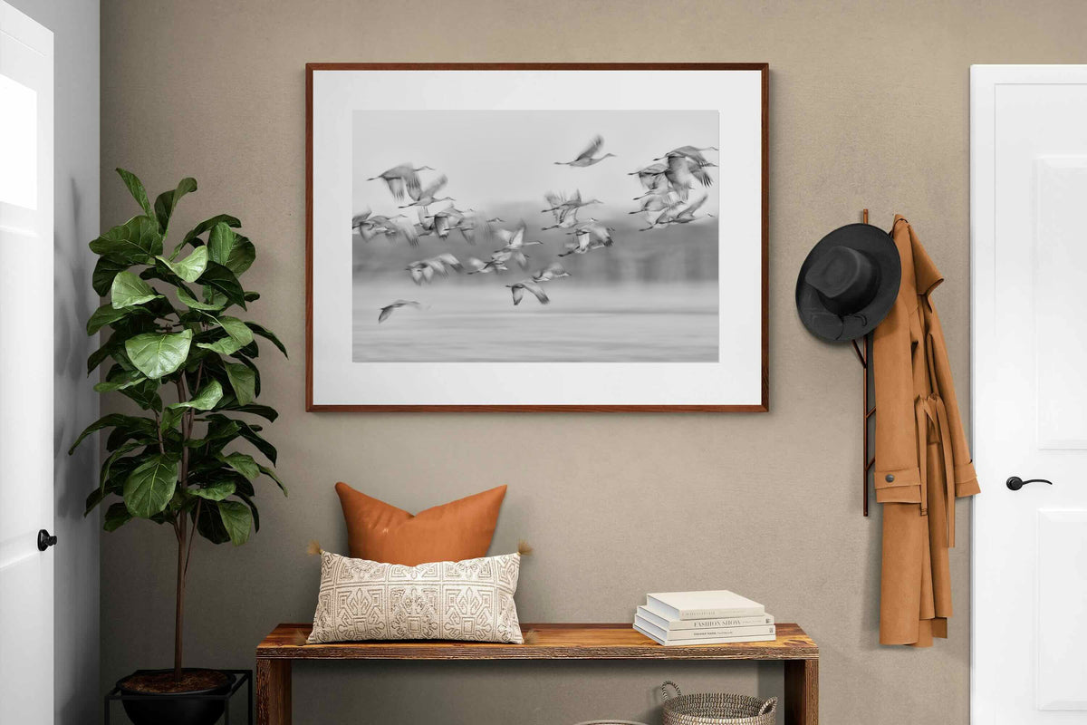 Pixalot ® Crane Migration