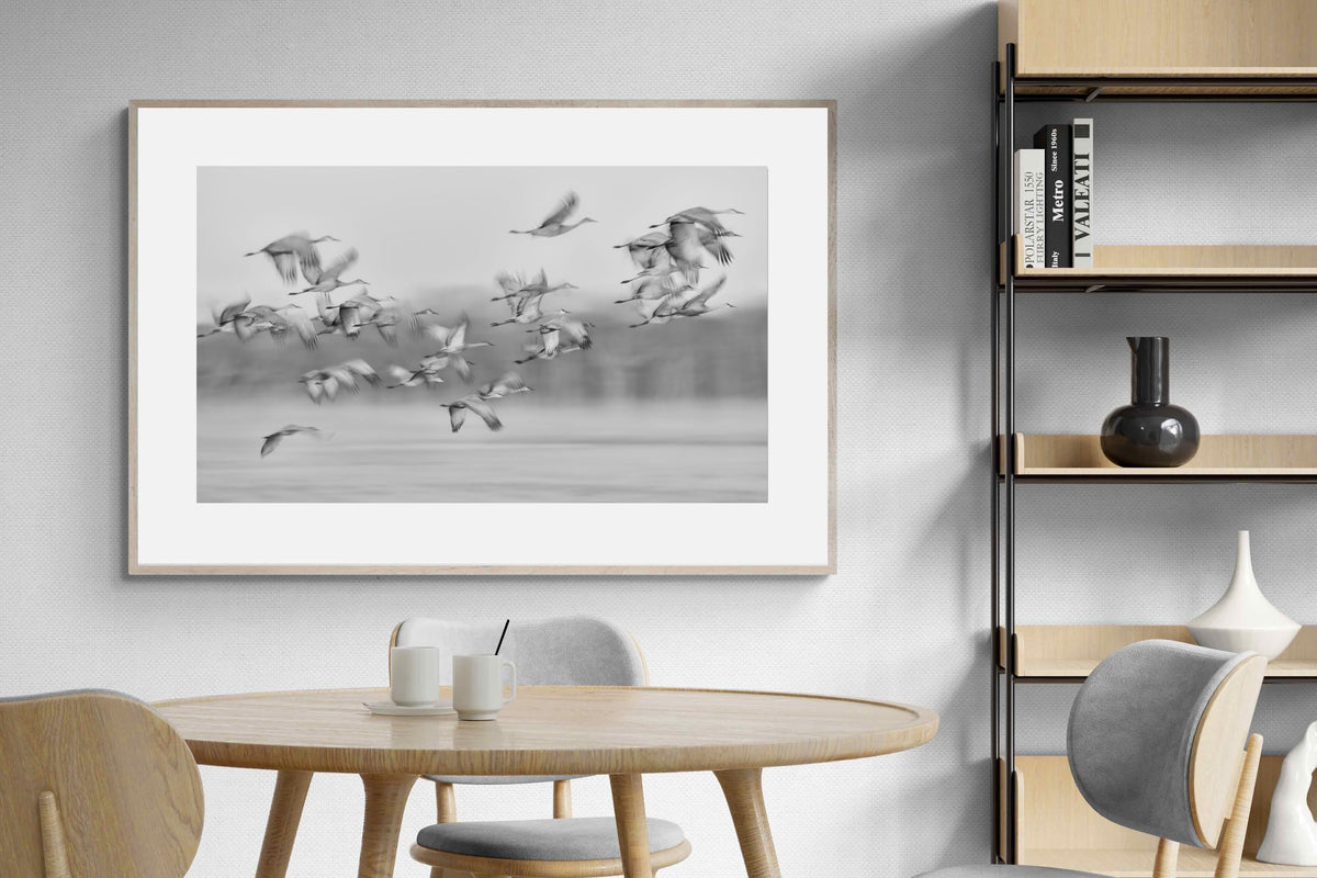 Pixalot ® Crane Migration