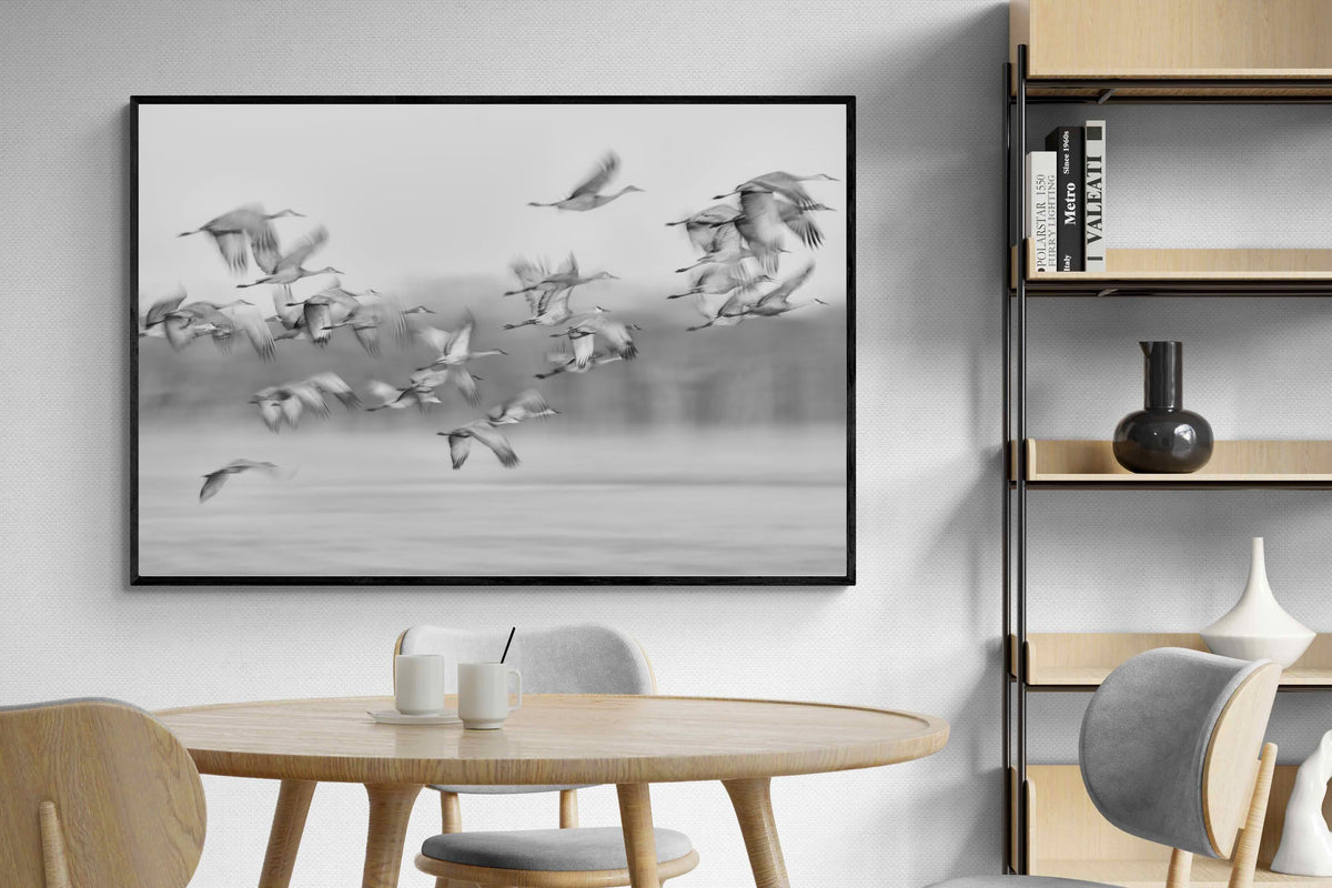 Pixalot ® Crane Migration