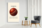 Pixalot ® Cricket Ball