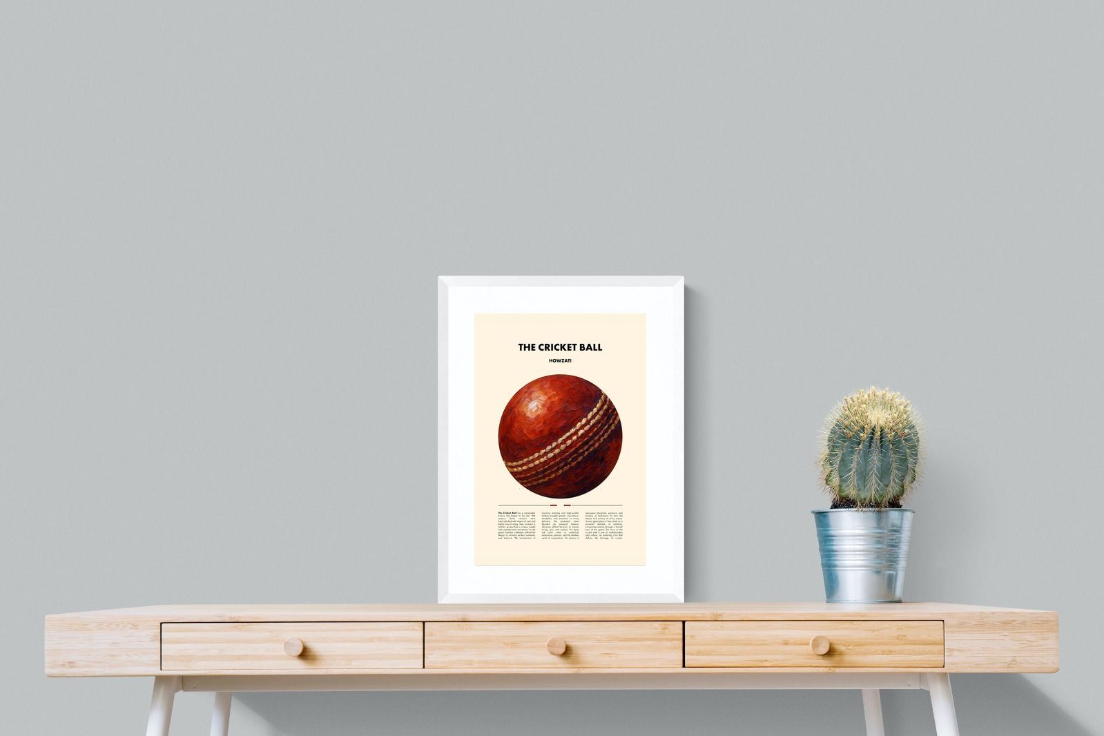 Pixalot ® Cricket Ball
