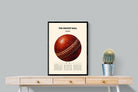 Pixalot ® Cricket Ball