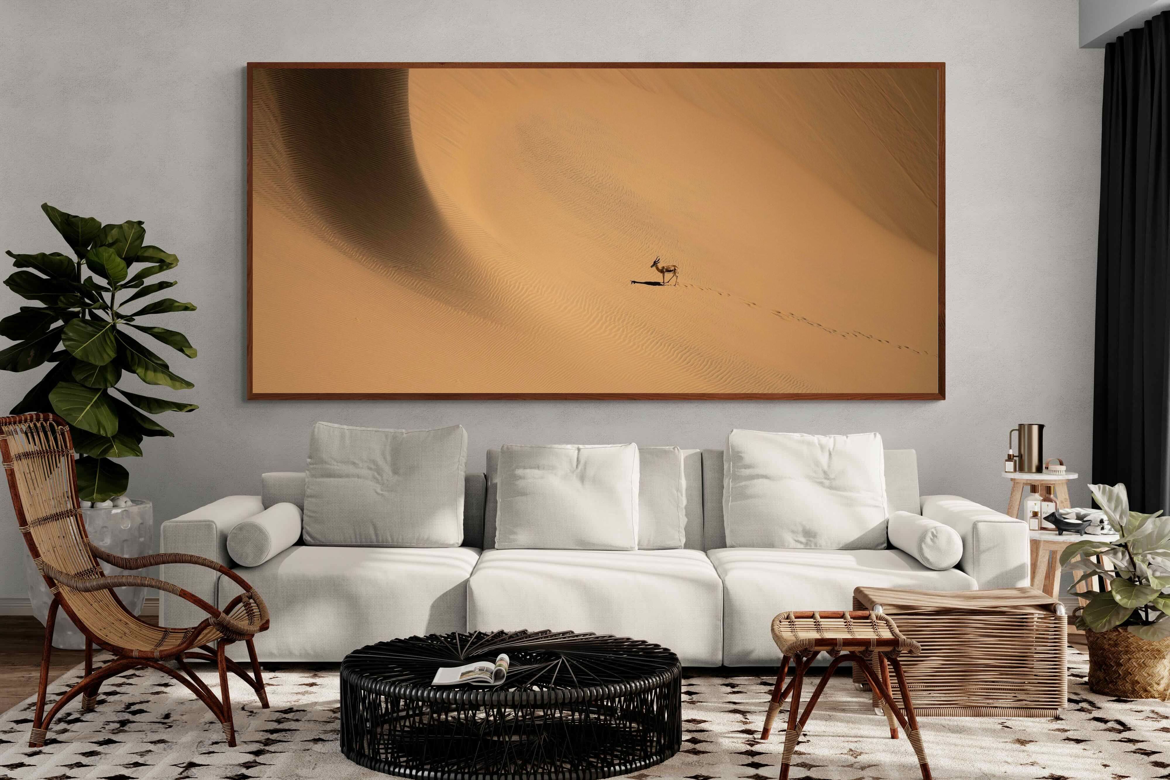Pixalot ® Desert Trail