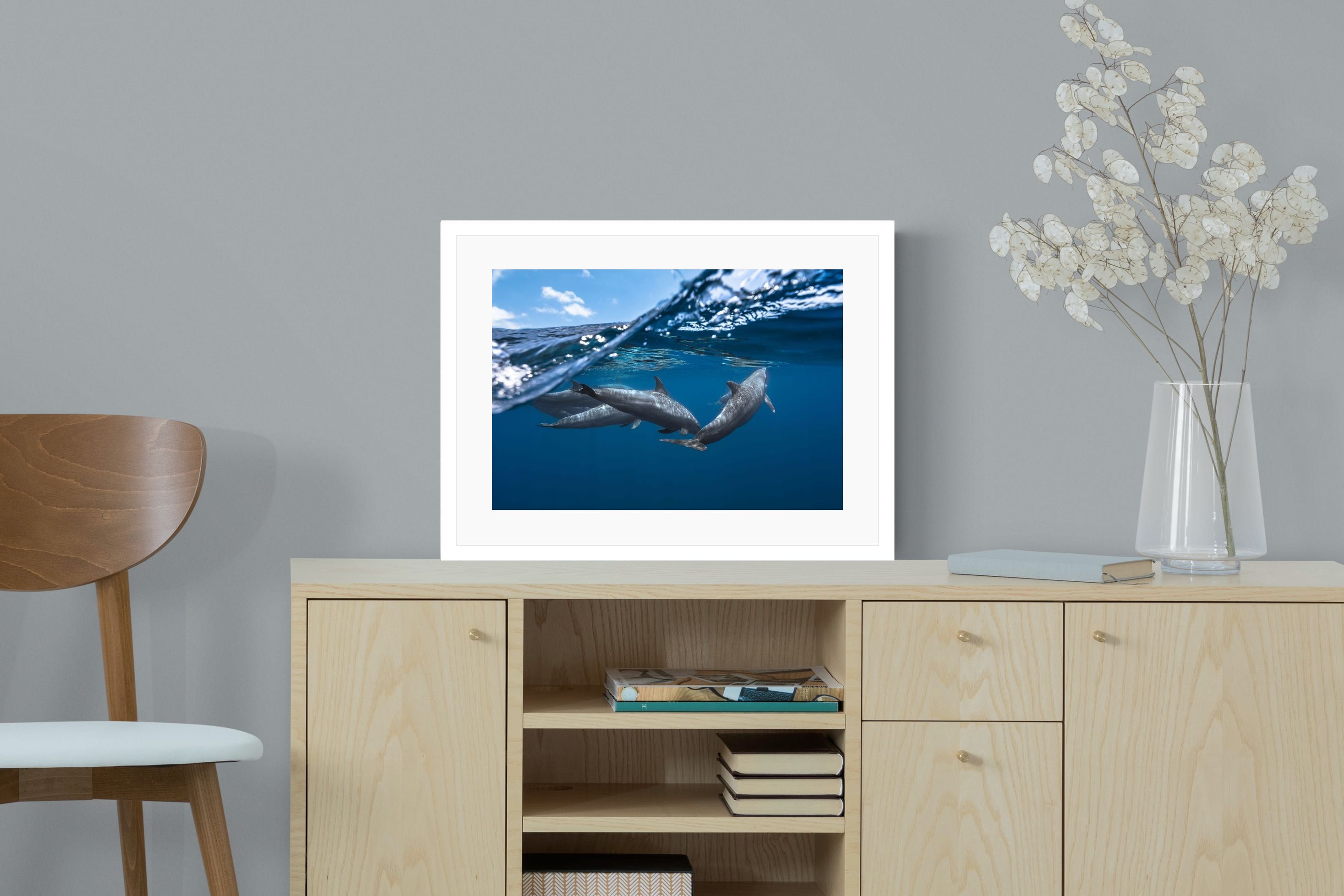 Pixalot Dolphin Trio