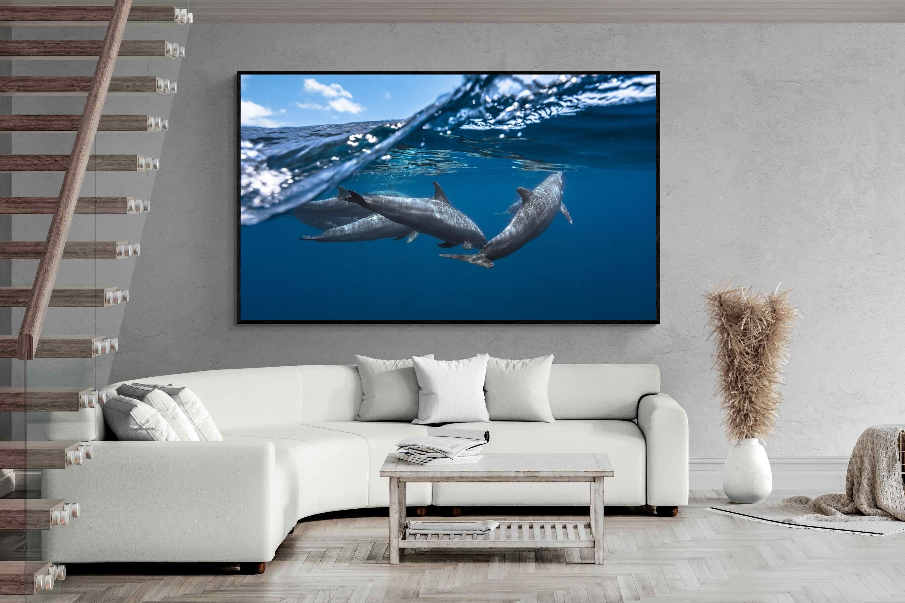 Pixalot Dolphin Trio