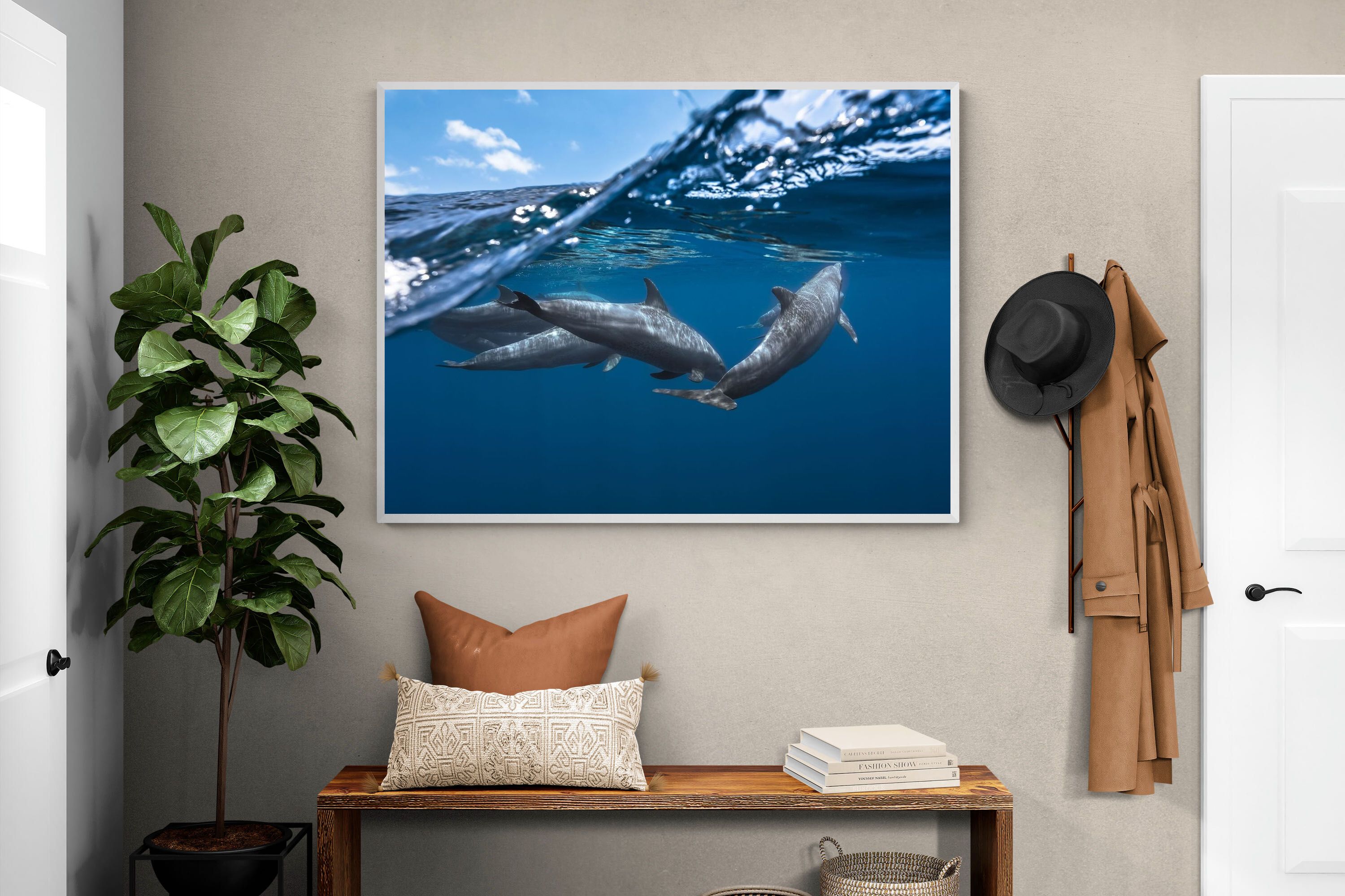 Pixalot Dolphin Trio