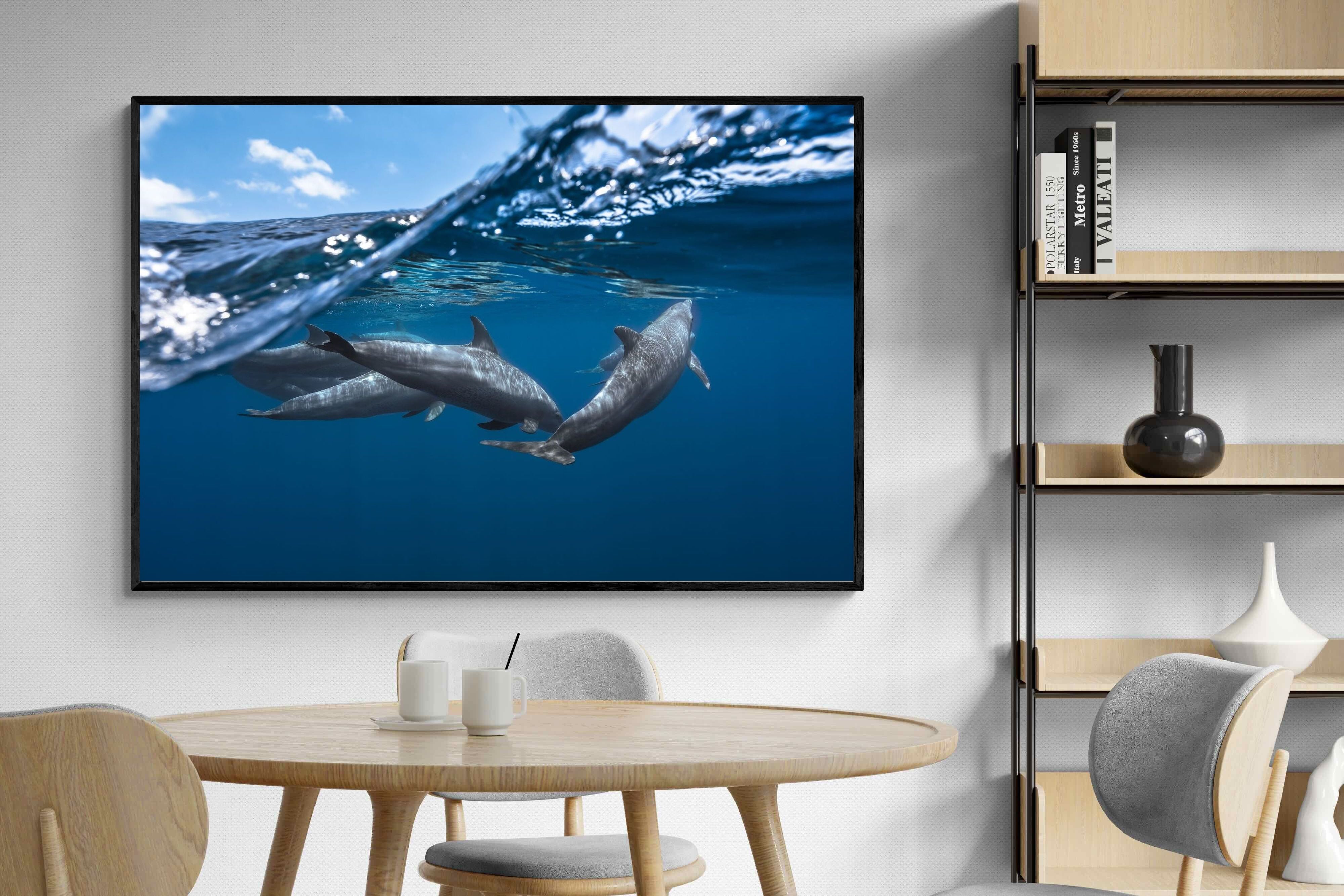 Pixalot Dolphin Trio