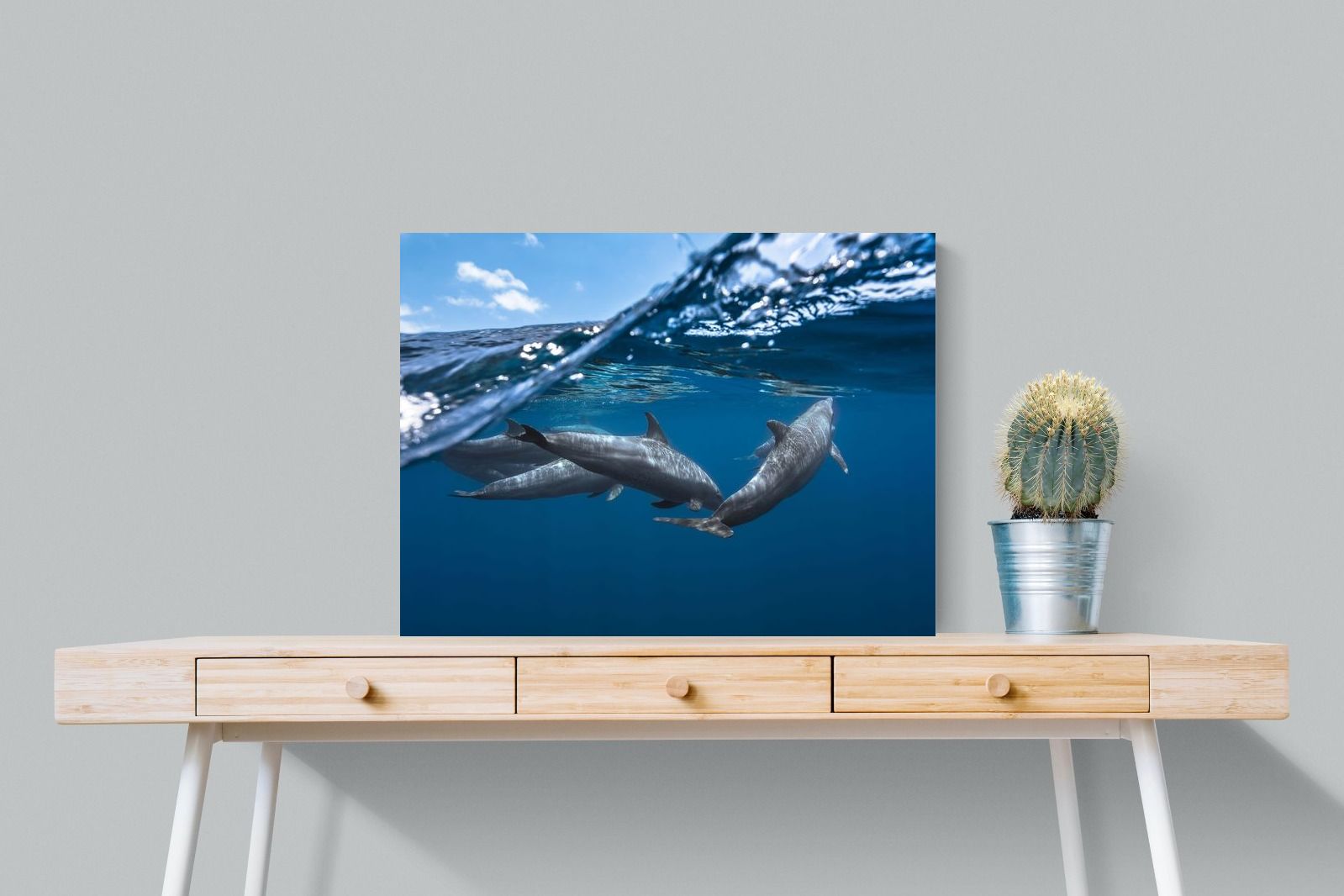 Pixalot Dolphin Trio