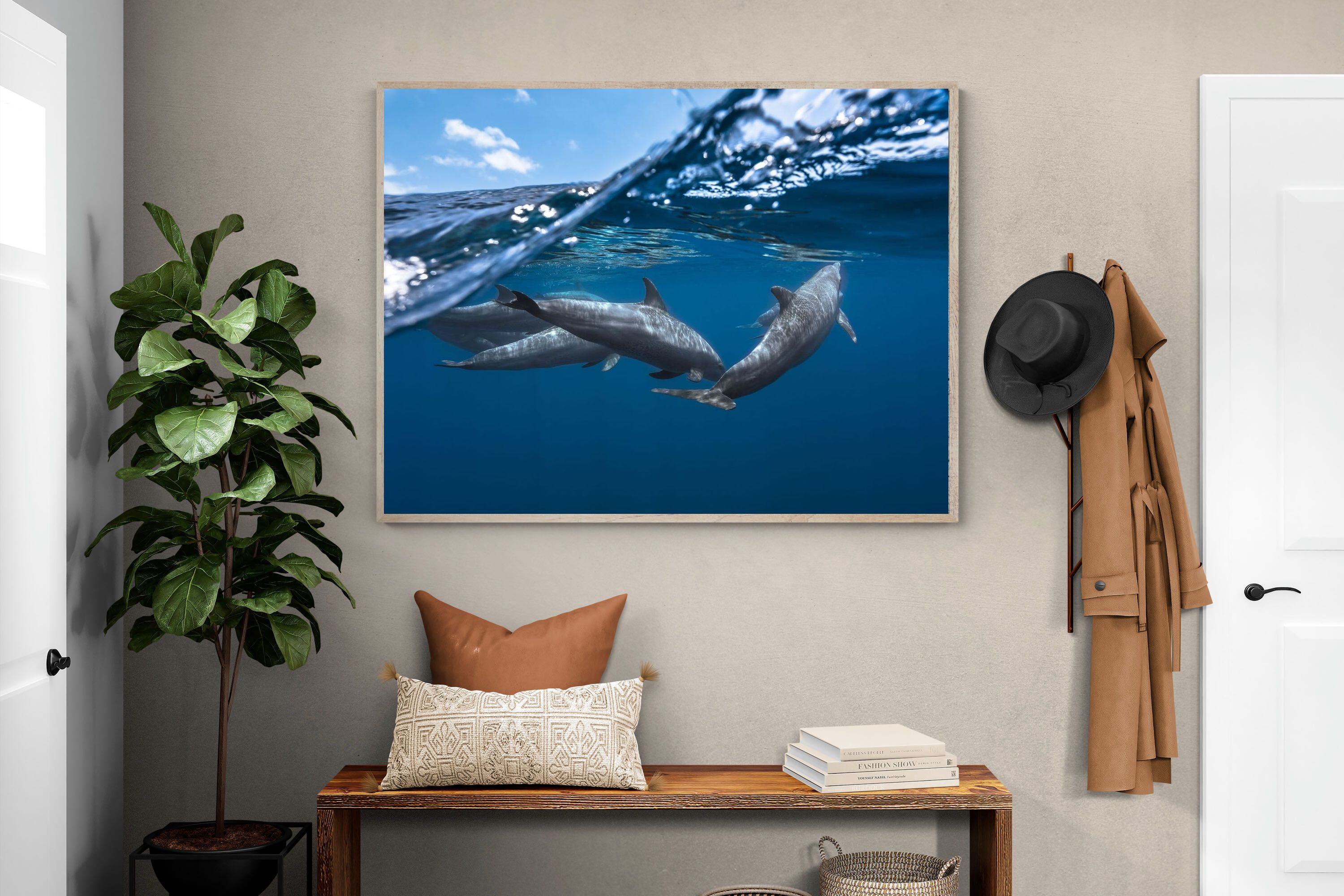 Pixalot Dolphin Trio