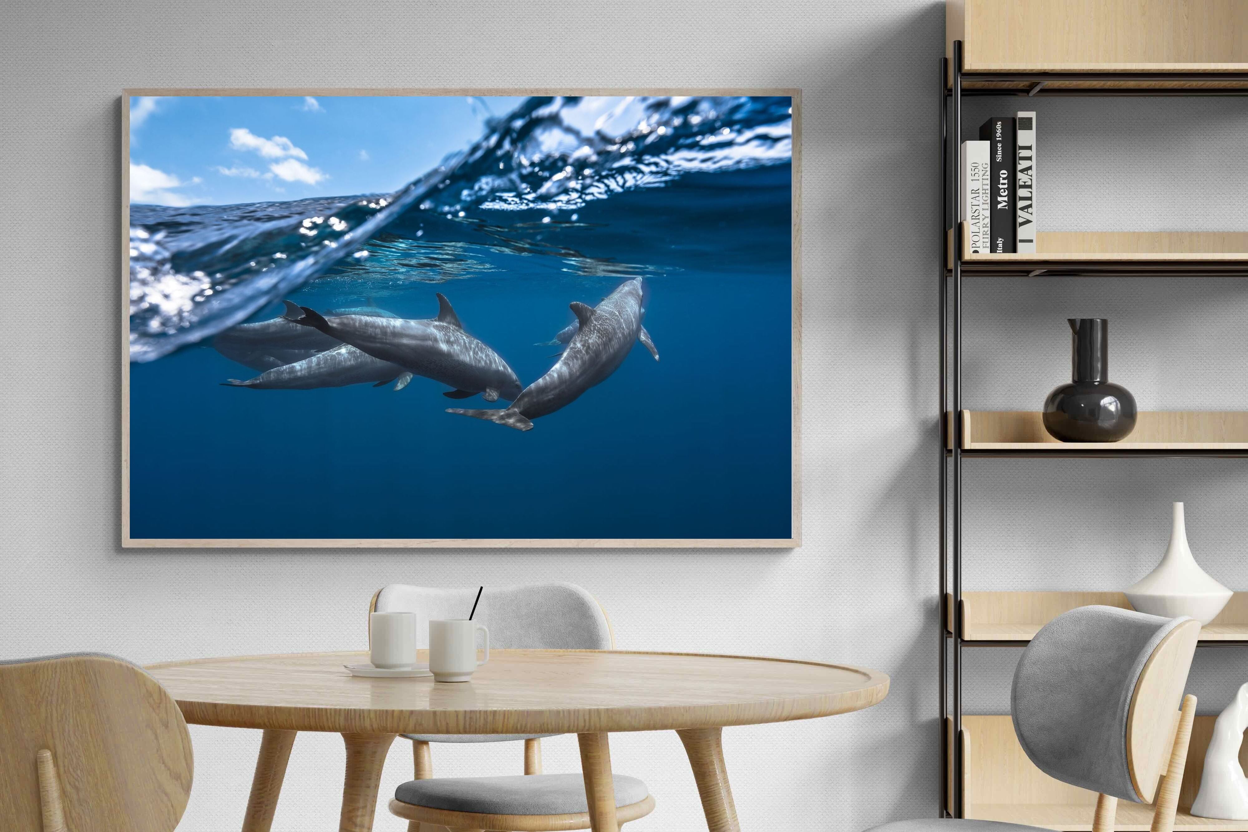 Pixalot Dolphin Trio