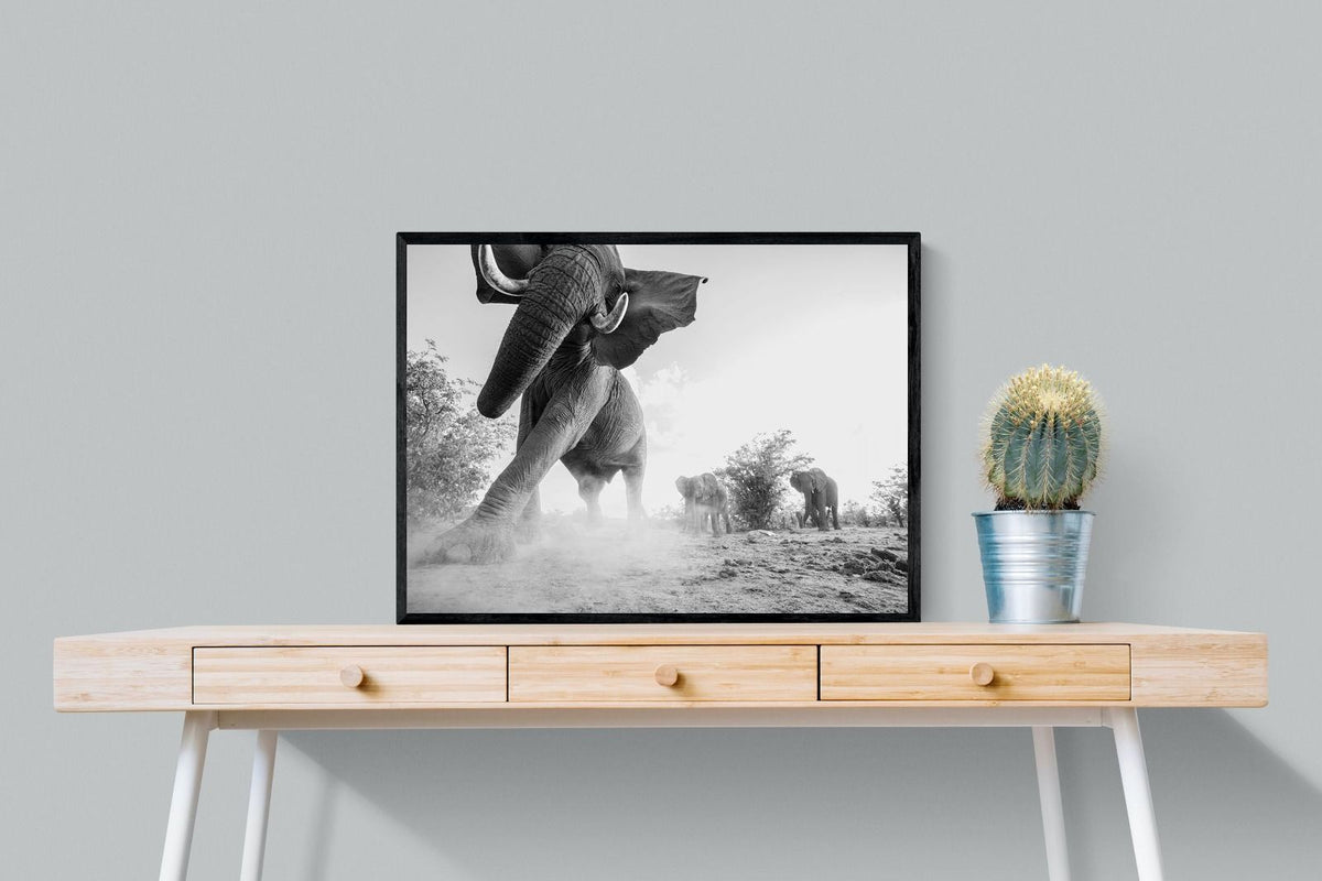 Pixalot ® Elephant Approach