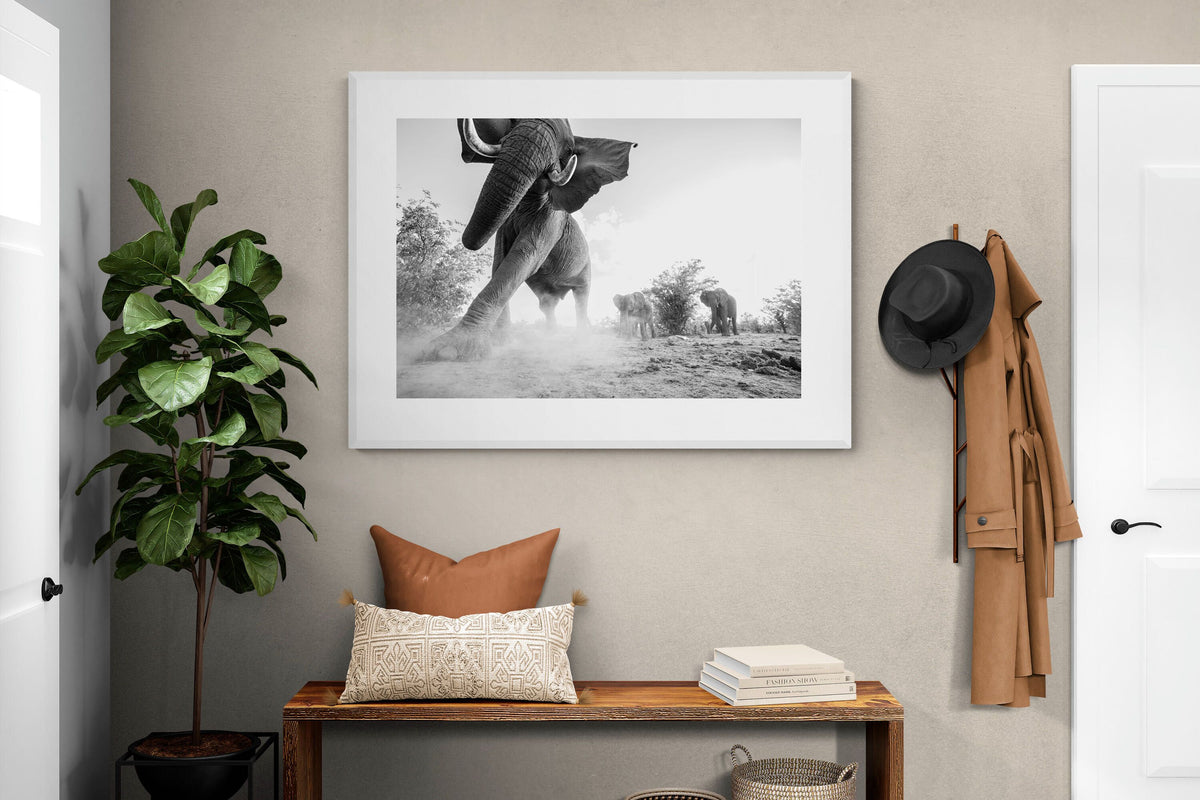 Pixalot ® Elephant Approach