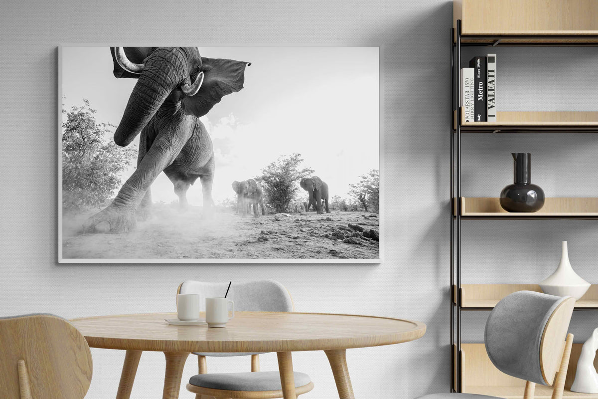 Pixalot ® Elephant Approach