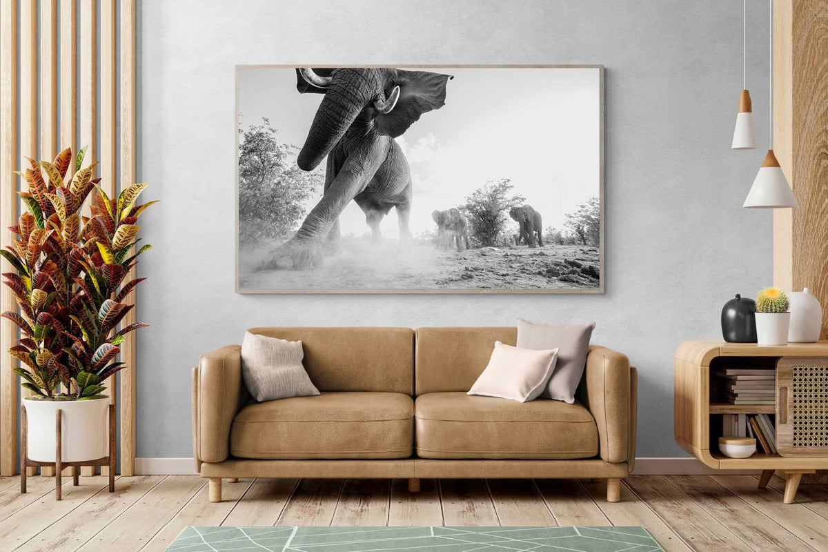 Pixalot ® Elephant Approach