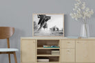 Pixalot ® Elephant Approach