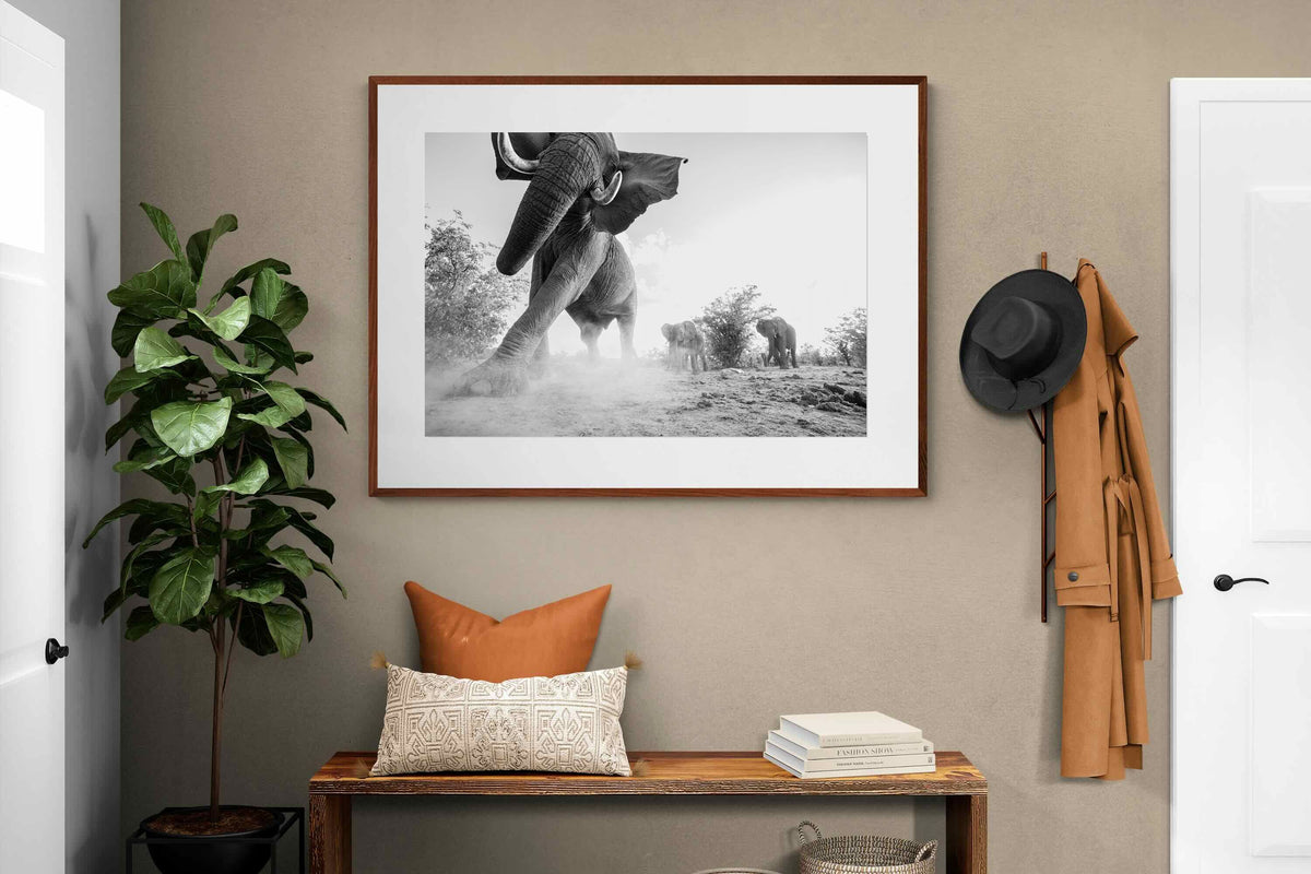 Pixalot ® Elephant Approach