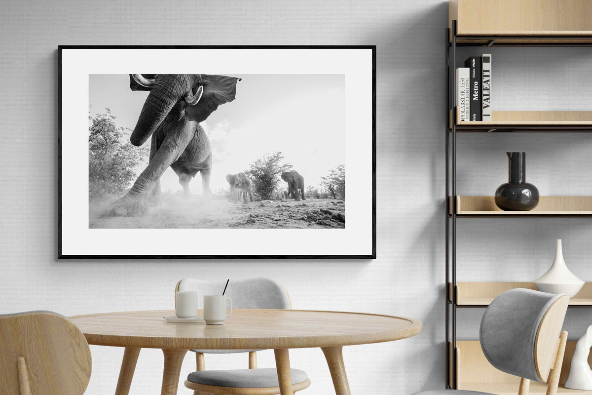 Pixalot ® Elephant Approach