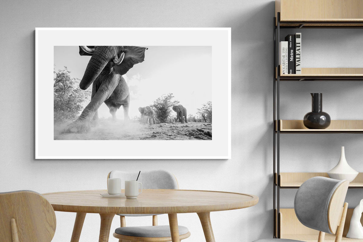 Pixalot ® Elephant Approach
