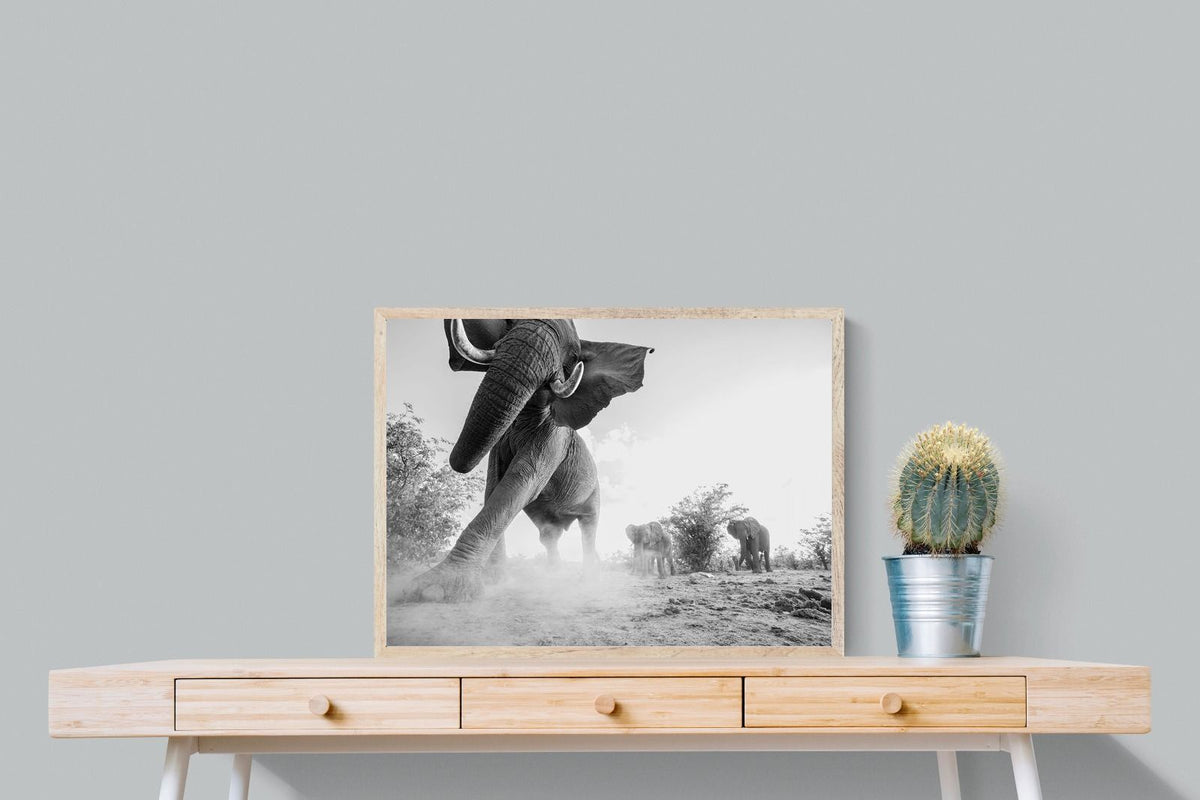 Pixalot ® Elephant Approach