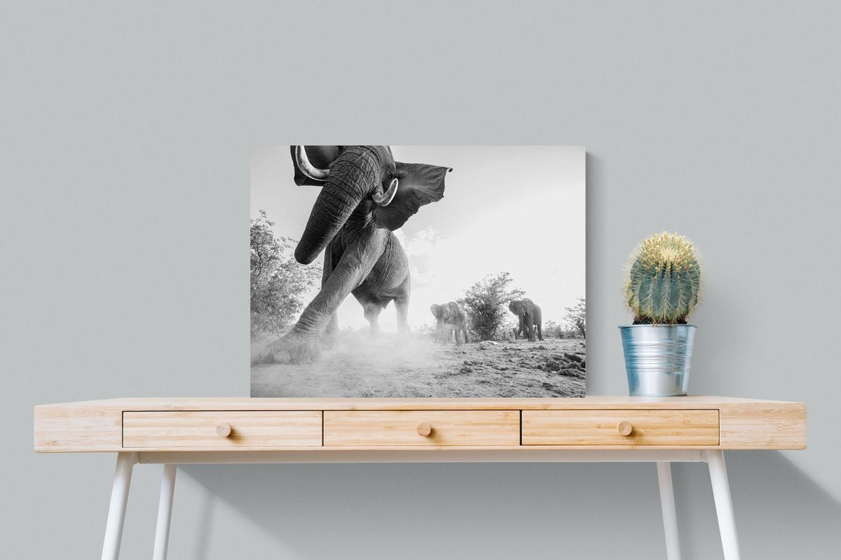 Pixalot ® Elephant Approach