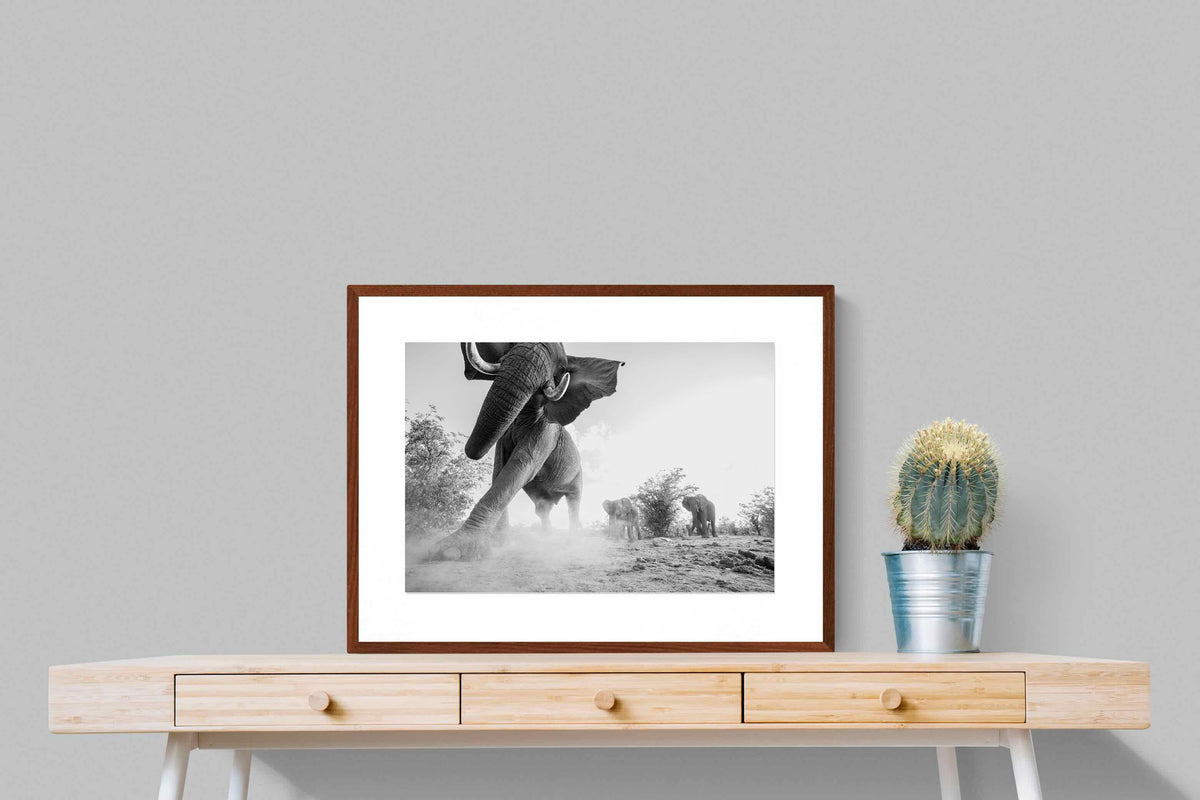 Pixalot ® Elephant Approach
