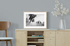 Pixalot ® Elephant Approach