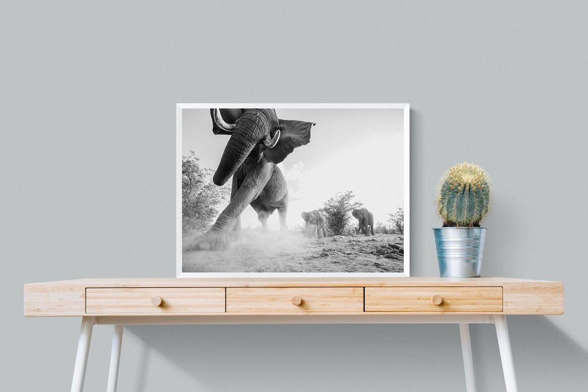 Pixalot ® Elephant Approach