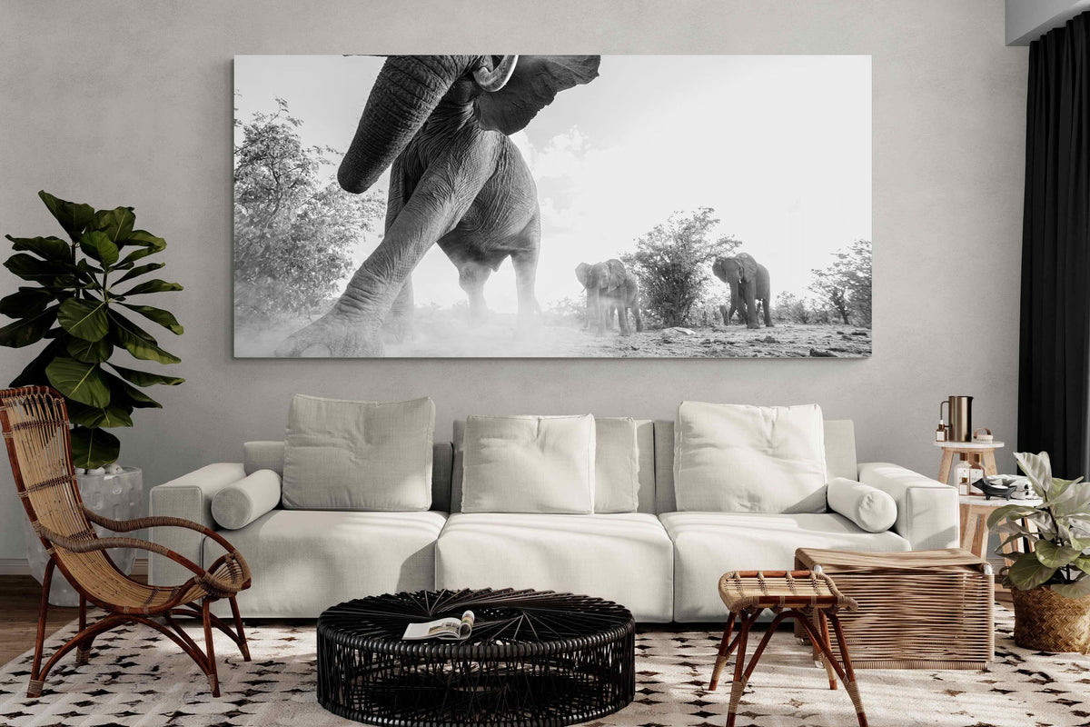 Pixalot ® Elephant Approach