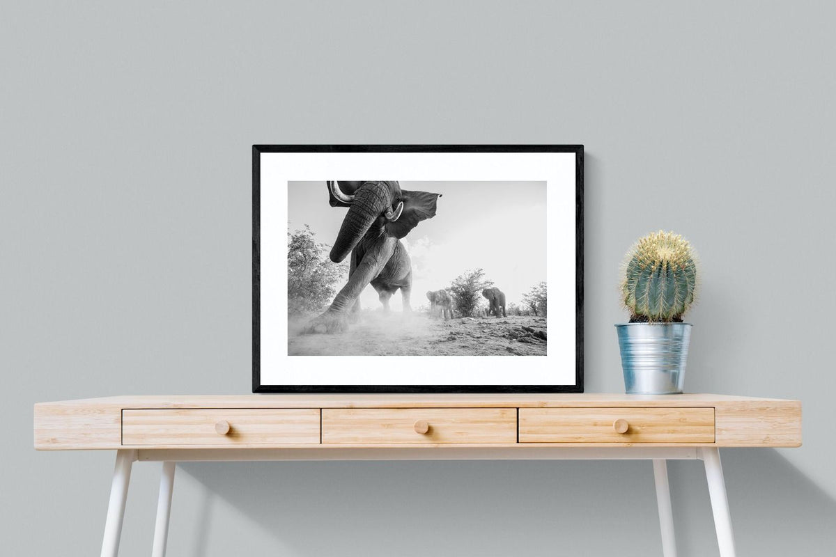 Pixalot ® Elephant Approach