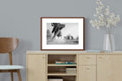 Pixalot ® Elephant Approach
