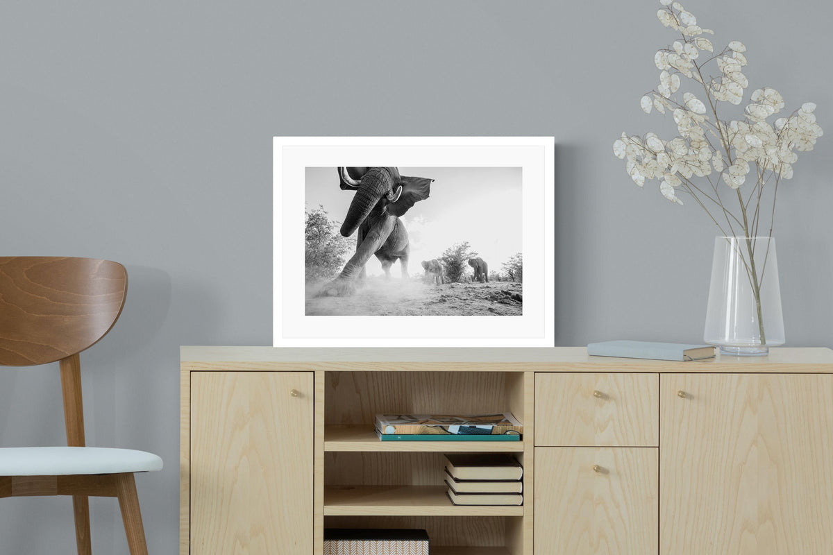 Pixalot ® Elephant Approach