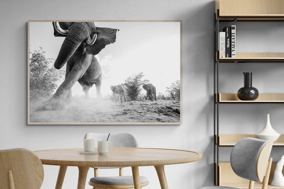 Pixalot ® Elephant Approach